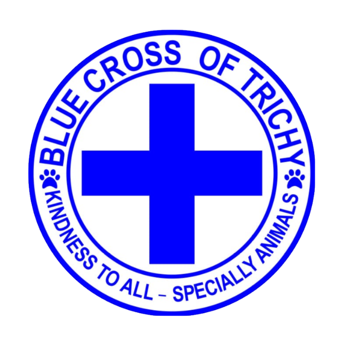 Blue Cross Of Trichy